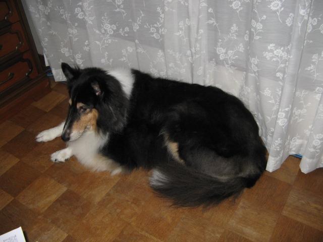 IMG_2233.JPG