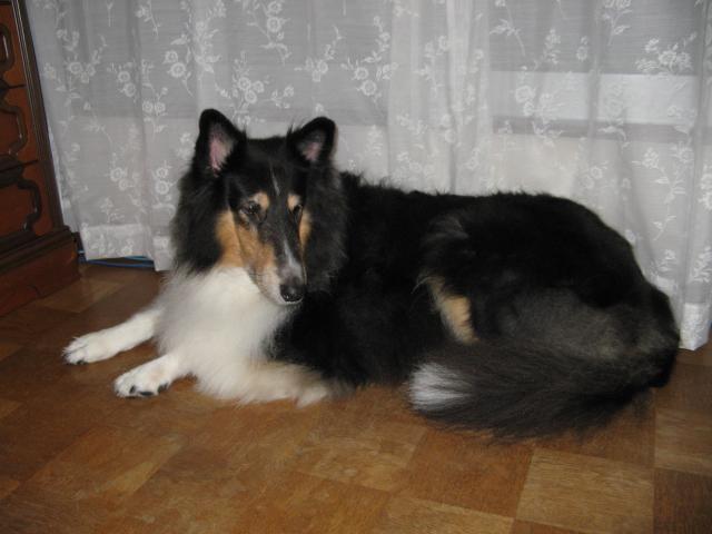 IMG_2234.JPG