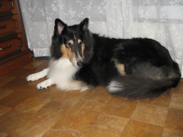 IMG_2235.JPG