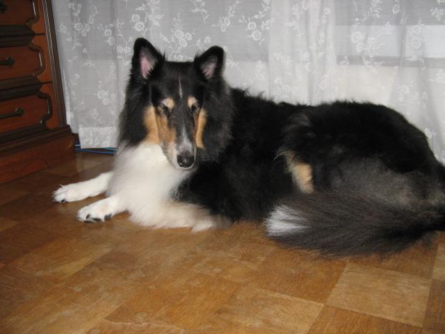 IMG_2236.JPG